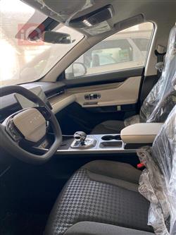 جیتۆر داشينگ